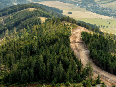 Dolni Morava